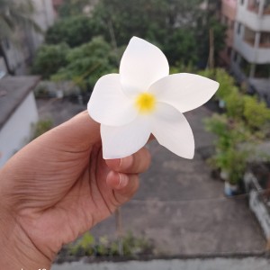 swarnali Sarkar