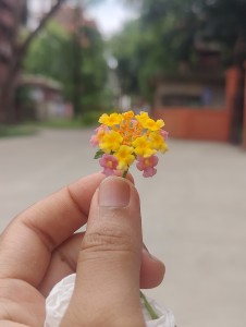 Yeamin Akter